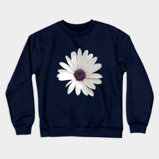 White Daisy Osteospermum Flower Photograph Crewneck Sweatshirt